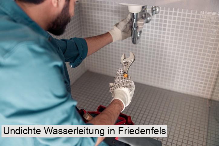 Undichte Wasserleitung in Friedenfels